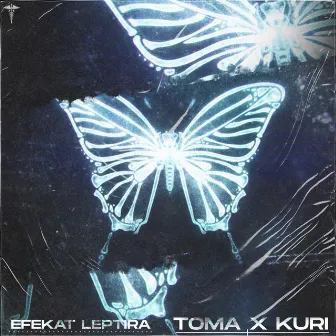 Efekat leptira by Toma