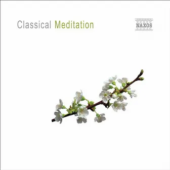 Classical Meditation by Unknown Artist