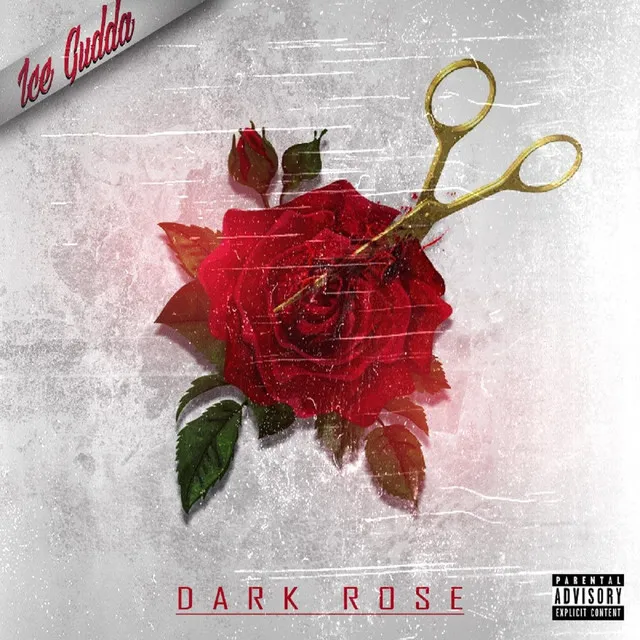 Dark Rose