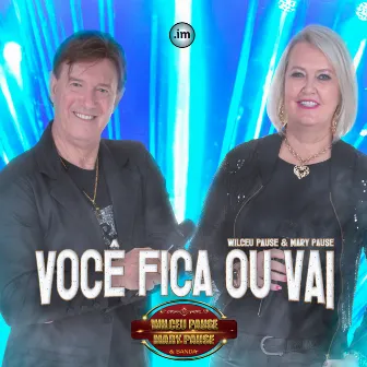 Você Fica ou Vai by Wilceu Pause