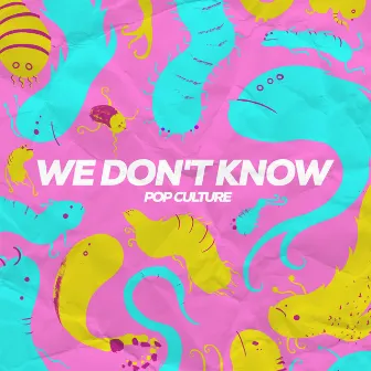 We Don't Know by Pop Culture