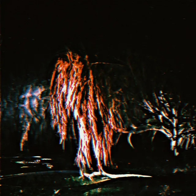 Weeping Willow