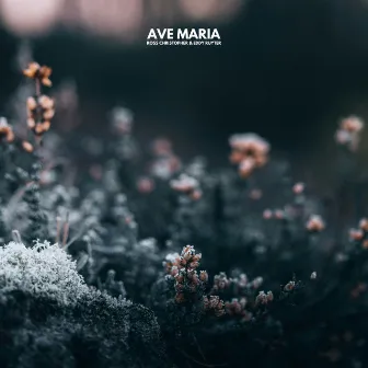 Ave Maria by Eddy Ruyter