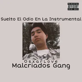 Suelto el Odio en la Instrumental by Osxarlove