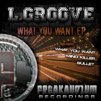 What You Want EP by L.Groove