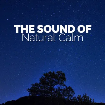 The Sound of Natural Calm by Bruits naturels