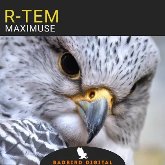 Maximuse by R-Tem