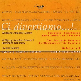 Ci divertiamo...! by Lavard Skou Larsen