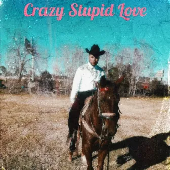 Crazy Stupid Love by Mason Grant