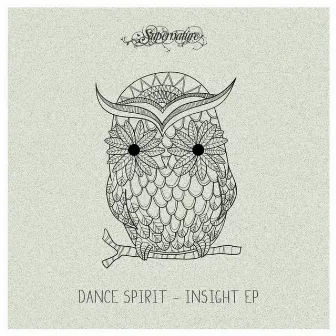 Insight by Dance Spirit