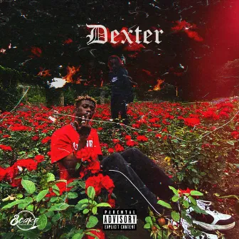 Dexter by Lil Jibo