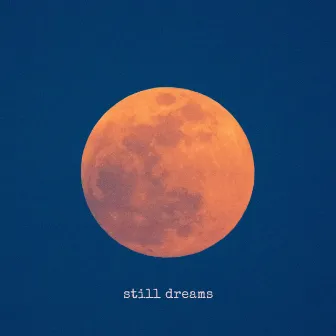 Beneath The Moon by Still Dreams