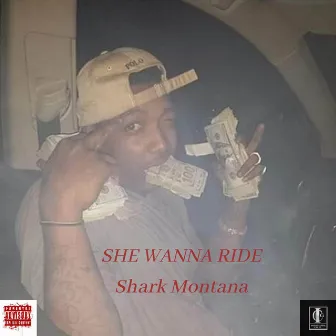 She Wanna Ride by Shark Montana