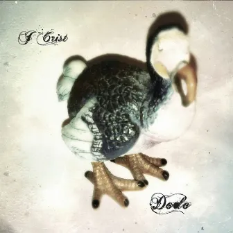 Dodo by J Crist