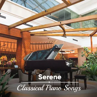 #17 Serene Classical Piano Songs by Einstein Study Music Experience