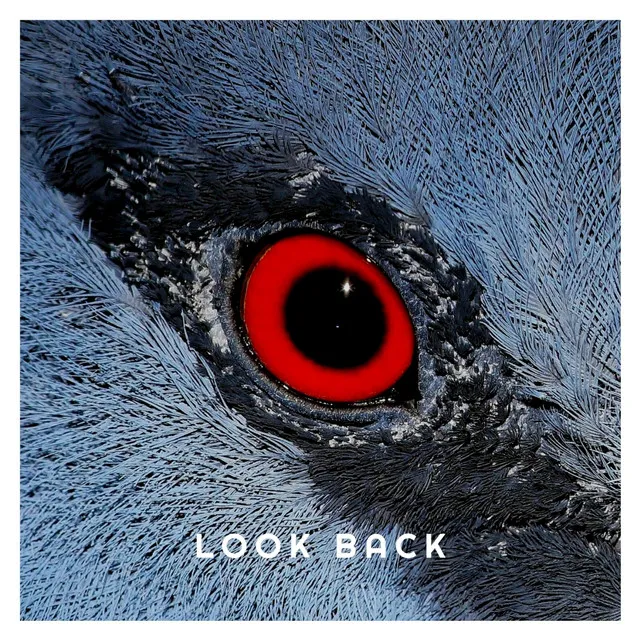 Look Back - Seeker Mix