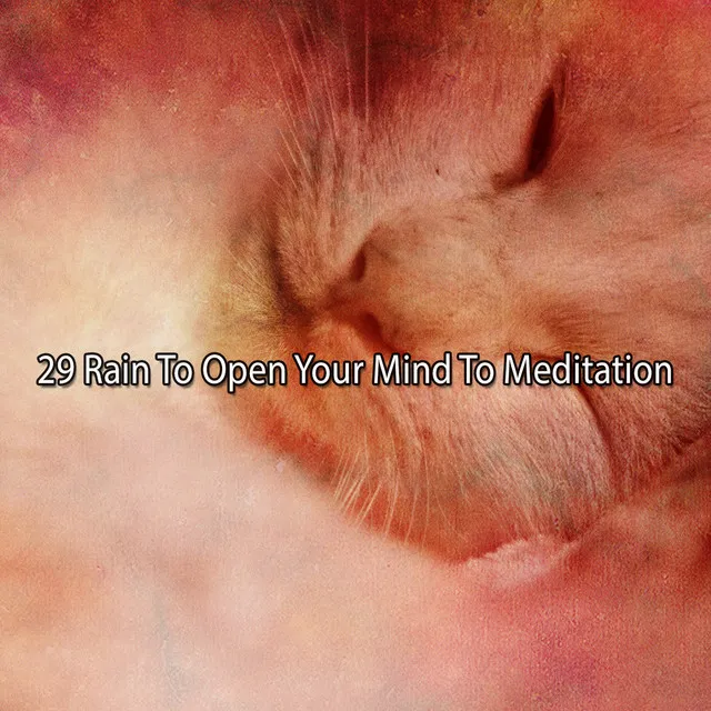 29 Rain To Open Your Mind To Meditation