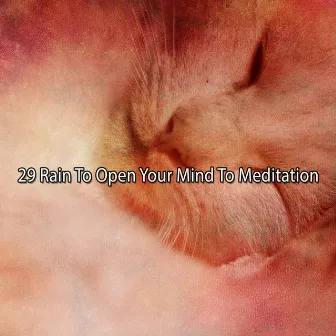 29 Rain To Open Your Mind To Meditation by Thunderstorms