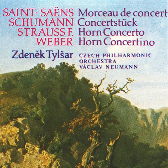 Horn Concerto in C Minor, Op. 8: I. Allegro moderato