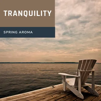 Tranquility by Spring Aroma