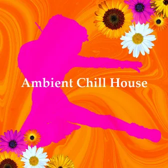 Ambient Chill House by Unknown Artist