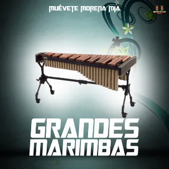 Muevete Morena Mia by Grandes Marimbas