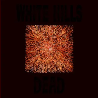 Dead by White Hills