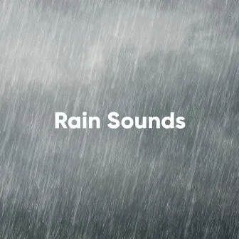 Rain Sounds: The Definitive Collection by White Noise Collectors