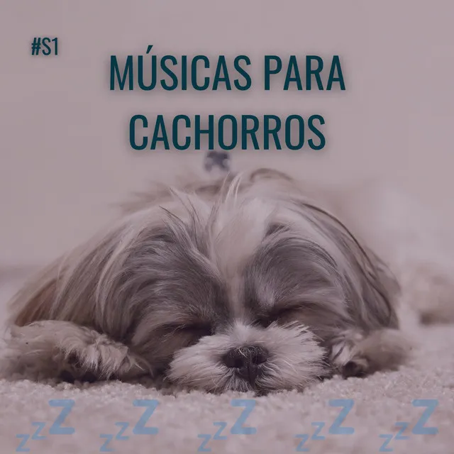 Música para Cachorro Dormir