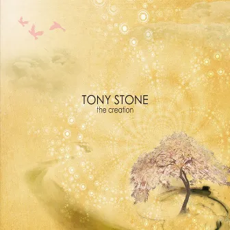 The Creation by Tony Stone