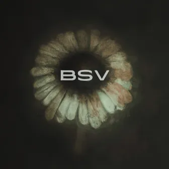 BSV by Kantoryum