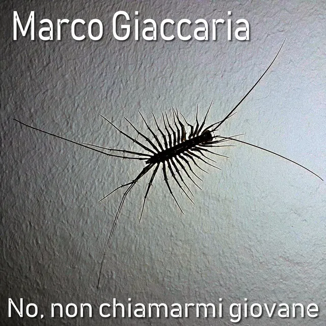 No, non chiamarmi giovane