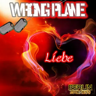 Liebe by Wrong Plane