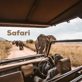 Safari by Abigael Muthoka