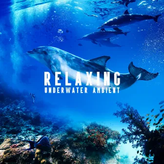 Relaxing Underwater Ambient: Soothing Music for Deep Sleep, Therapy, Meditation, Stress Relief by Sea Tranquility Academy