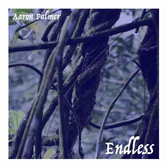 Endless - Live Acoustic Version by Aaron Palmer