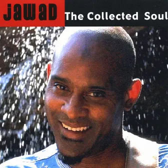 The Collected Soul by Jawad