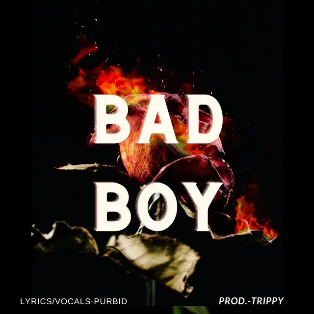 Bad Boy