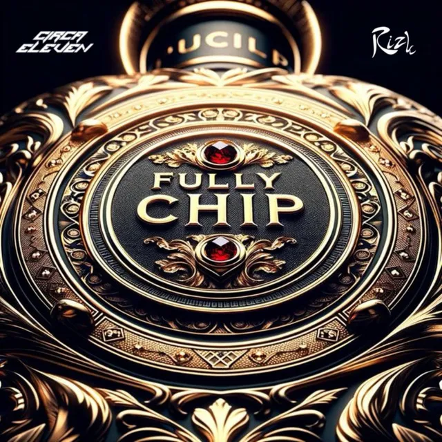 Fully Chip