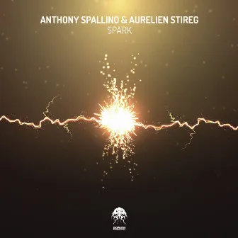 Spark by Anthony Spallino