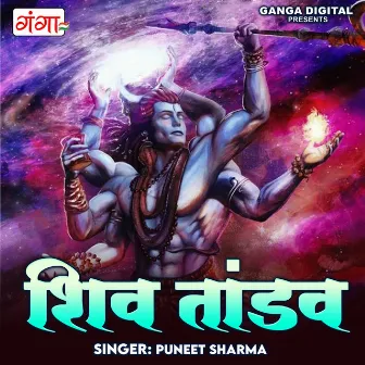 Shiv Tandav by Puneet Sharma