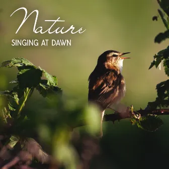 Nature Singing At Dawn by 