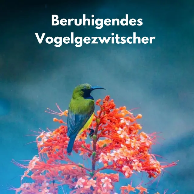 Vogelgezwitscher