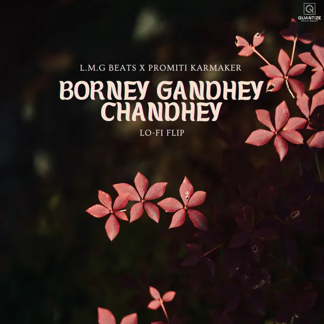 Borney Gandhey Chandhey - Lo-fi Flip