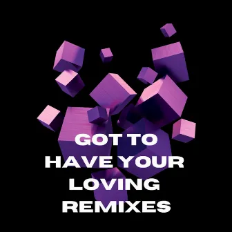 Got To Have Your Loving Remixes by Phaze One