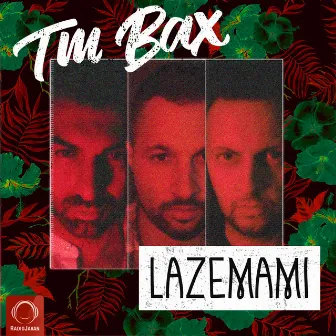 Lazemami by TM Bax