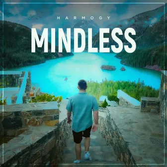 Mindless by Harmogy