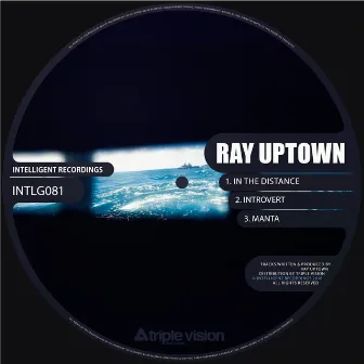 In the Distance by Ray Uptown