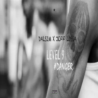 level #9/ Danger by DALSIM