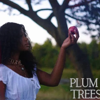 Plum Trees by UNORTHODOX By Nature